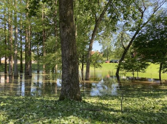 APSU Campus Suffers Damages From Severe Weather