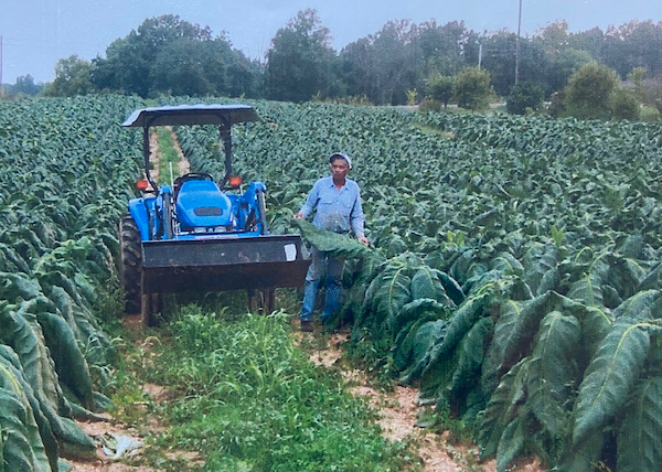 Something To Chew On: Recognizing The Impact Of Clarksville's Tobacco Industry