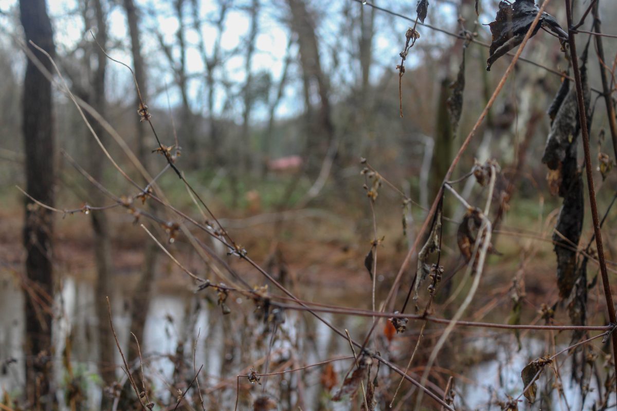 Govs Outdoors Indian Gravepoint Cave - Trey Chrystak