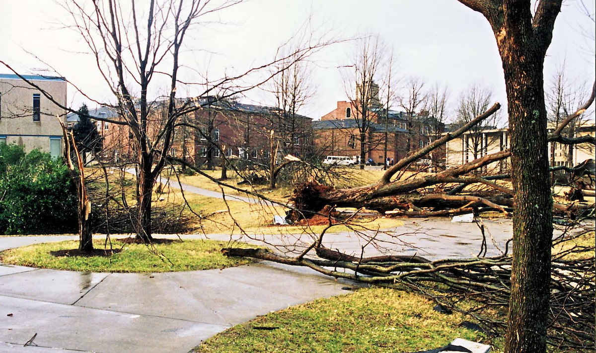 Archival photos taken soon after the severely damaging F3 tornado struck downtown Clarksville TN on January 22, 1999. Austin Peay State University sustained heavy damage to landscaping, trees, and many buildings across the campus.

From left to right, Woodward library, Clement, Browning, University Center colonnade. A massive tree near the library is uprooted.