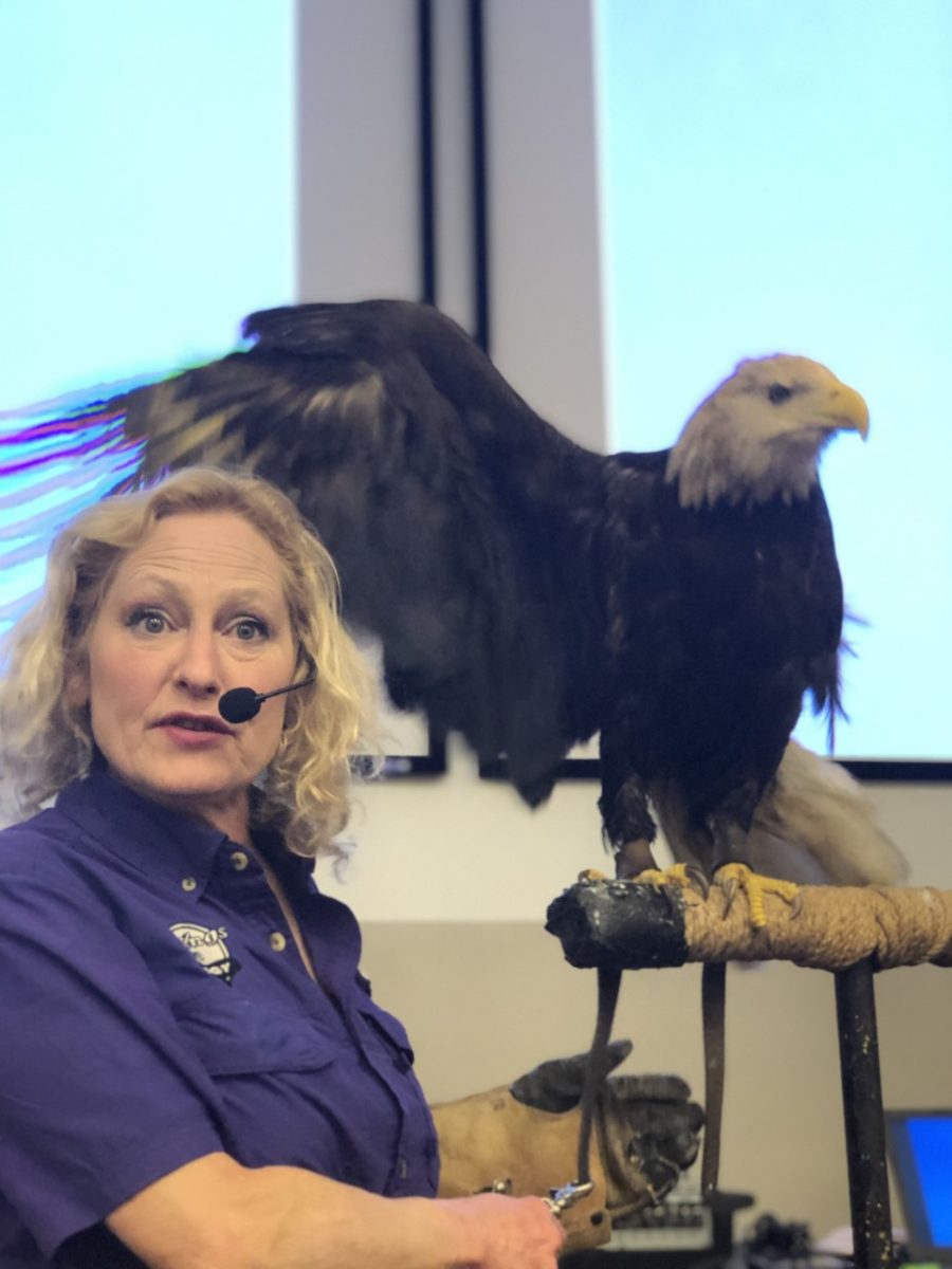 Codirector Dale Kernahan shows the bald eagle at the "Birds of Prey" event at Sundquist E106A on March 21. DOMINIC GONZALEZ | THE ALL STATE