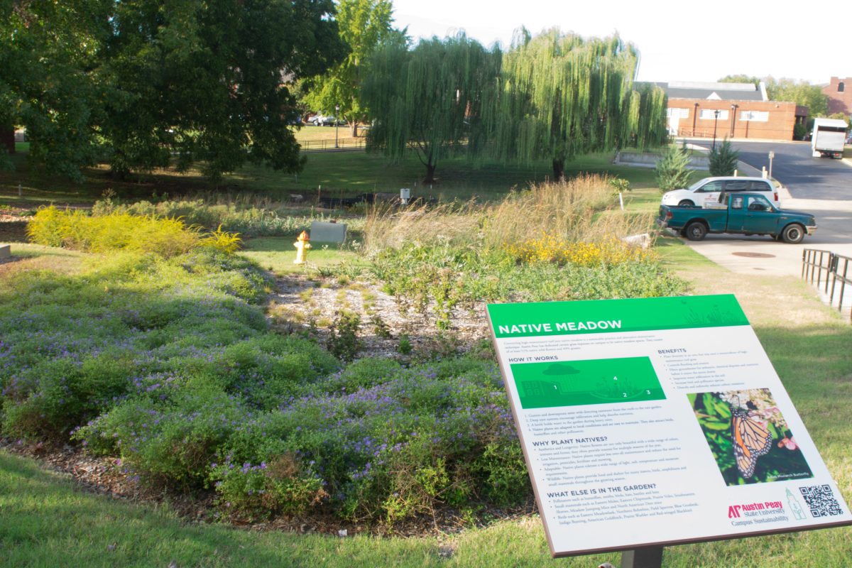 Native Meadow wins Green Board Award