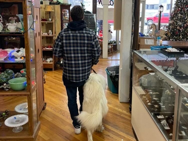 Lucas Bales and his Great Pyrenees dog Bear walk through an antique store in Waverly, Tennessee.