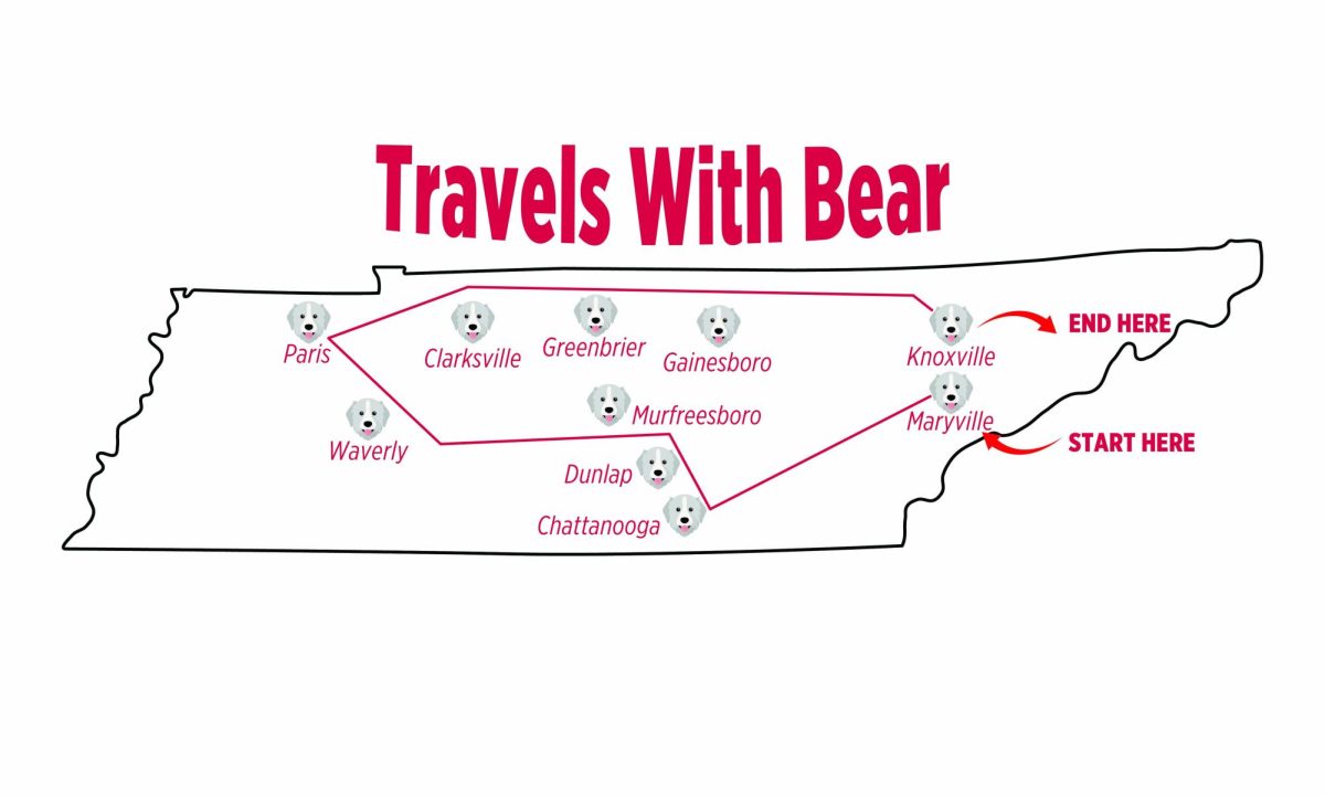 Travels With Bear (In Search of Myself)