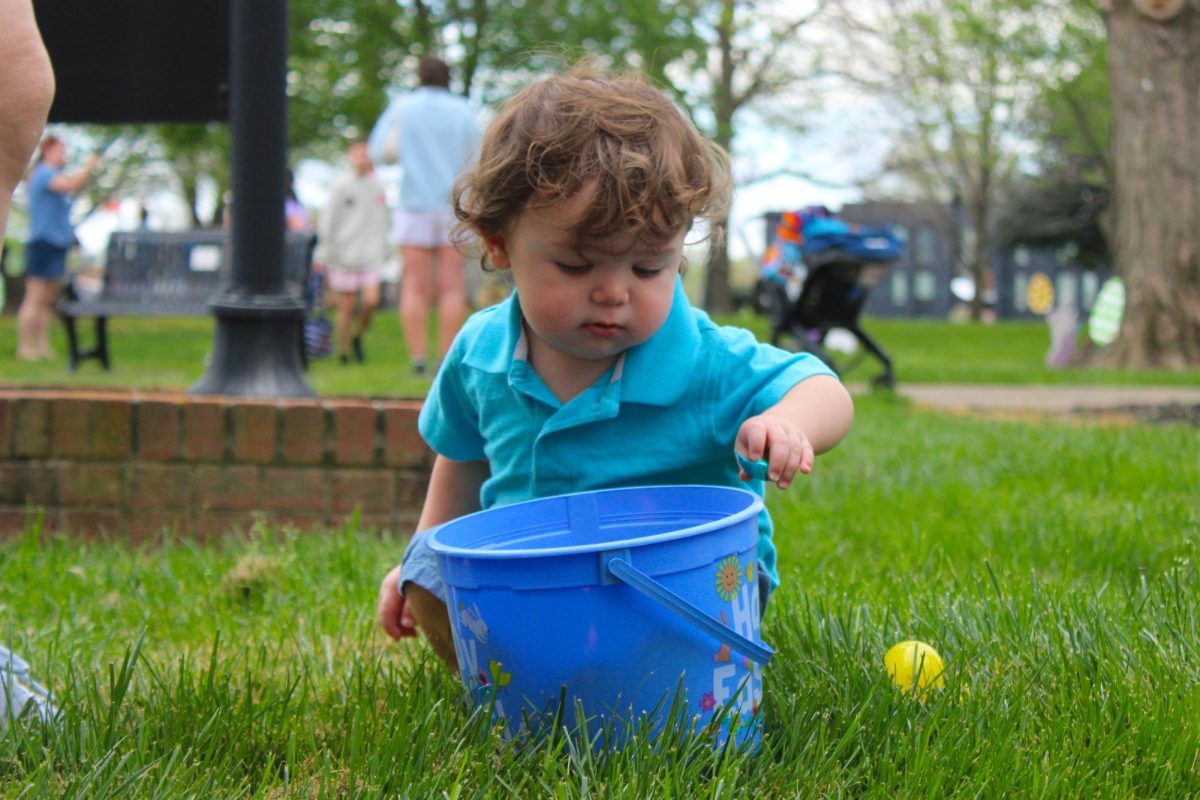 A child drops an egg into his basket during the annual Austin Peay Easter egg hunt on Saturday, April 4, in front of the Browning building.