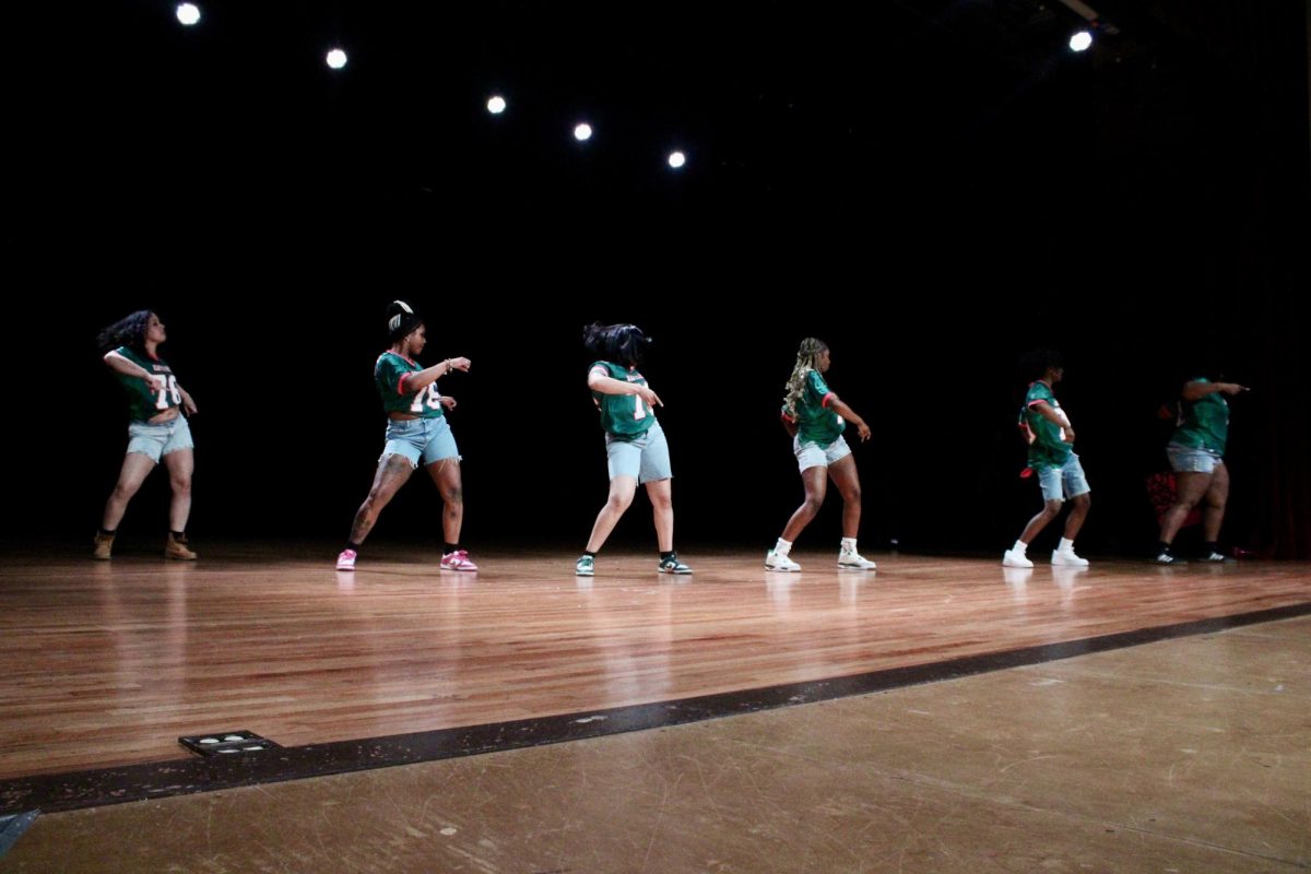 Kappa Rho chapter of Alpha Kappa Alpha members line up and dance during the fast round of the NPHC Stroll Off on Friday, April 24, 2026.